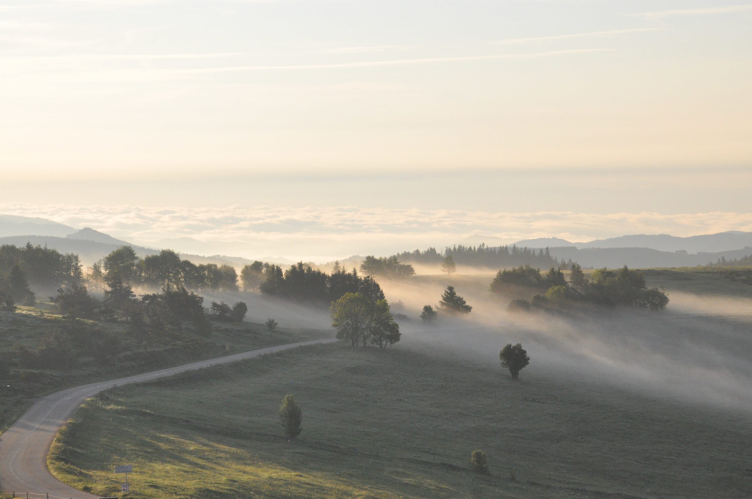 Accueil LachampRaphaël